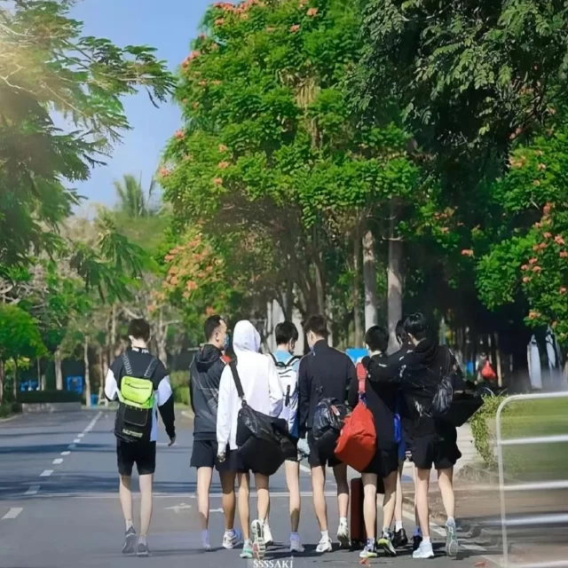 体育资讯与媒体热议背后的球迷焦点解析